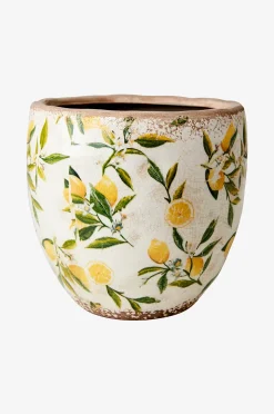 Affari of Sweden Kruka Lemona