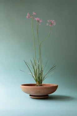 Bergs Potter Kruka Ada Raw Ø 35 cm