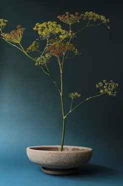 Bergs Potter Kruka Ada Raw Ø 30 cm