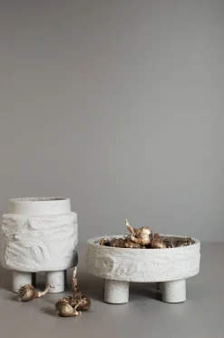 DBKD Clay plate
