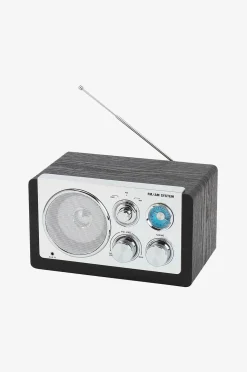 Denver Analog radio AM/FM