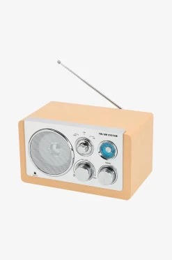 Denver Analog radio AM/FM