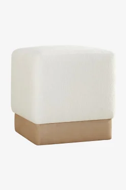 Homitis Puff-Anderson