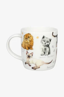 Könitz Mugg Katter