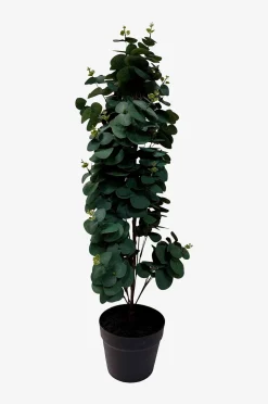 Nordic Furniture Group Konstväxt Viridis Eucalyptus 78