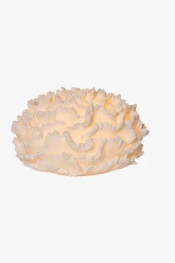 Star Trading Utomhusdekoration Coral