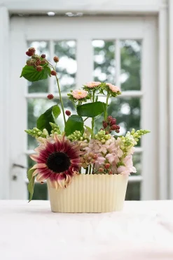 Wikholm Form Yodit Växt Oval 2st set